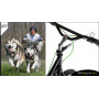 Barre cani-VTT pour trottinette Yedoo
