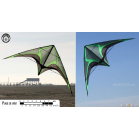 Zodarion cerf-volant acrobatique (nu)