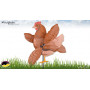 Éolienne de jardin WhirliGig Poule Rousse 50cm