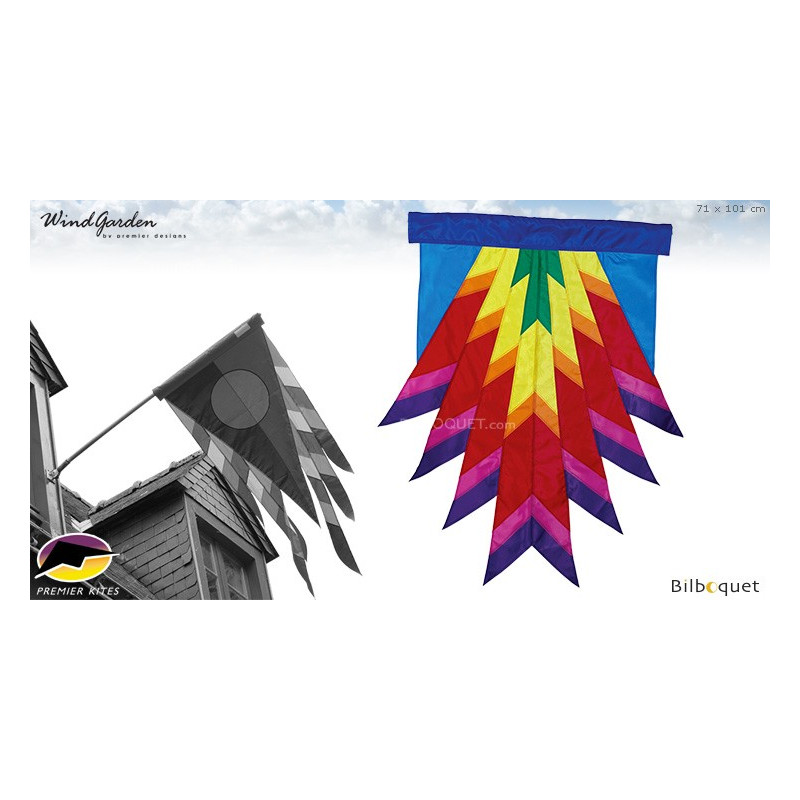 Drapeau Flash 71x101cm Progressive Banner par David Ti