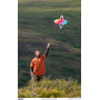 Cerf-volant Flip Kite