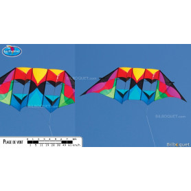 Cerf-volant Double Delta Conyne Stratosphere