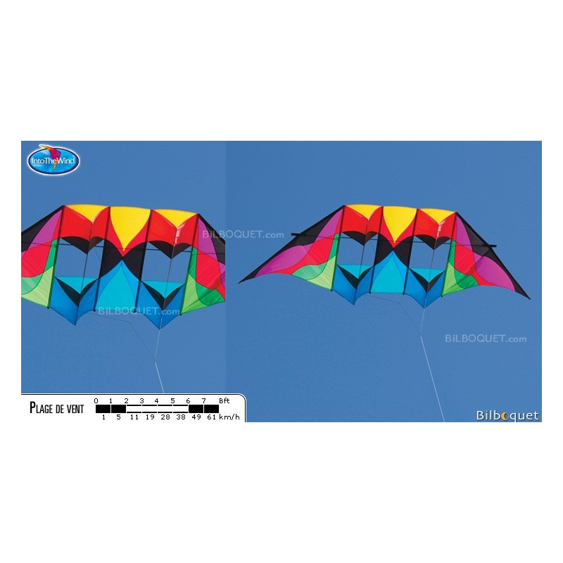 Cerf-Volant Delta Flying Rainbow Géant - Arc-en-Ciel 160 Cm Avec 6 Longues Queues Facile à Voler