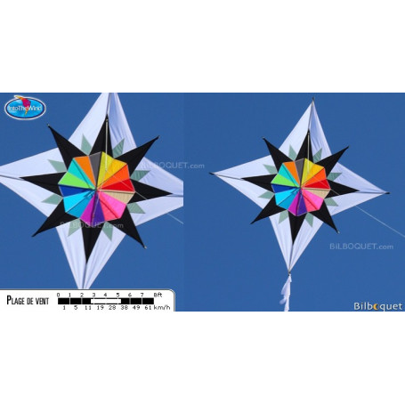 Cerf-volant monofil Grande étoile Enif par Maurizio Angeletti