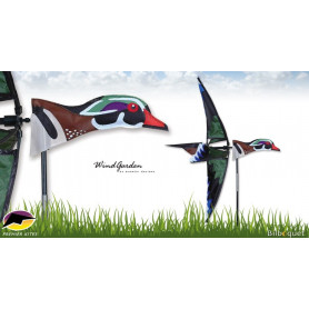 Éolienne Oiseau Canard carolin