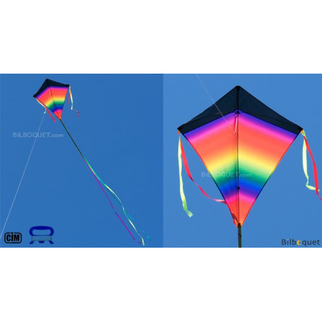 Eddy XL Super Rainbow - Grand cerf-volant monofil