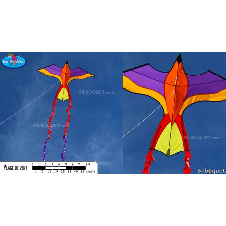 Perroquet tropical violet-jaune - Cerf-volant monofil