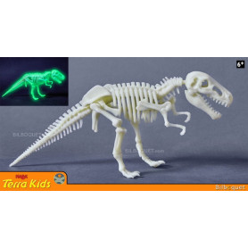 T-Rex phosphorescent - Terra Kids