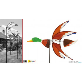 Eolienne Canard
