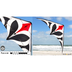 STUNT KITE TRIGGER - Cerf Volant Acrobatique