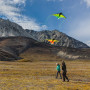 Zenith 7 - Infrared - Single-line kite