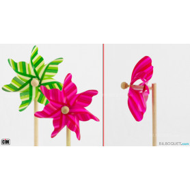 rayures roses