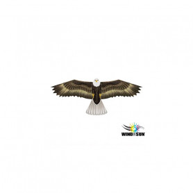 Eagle single-line kite - WindNSun