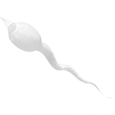 White tadpole windsock