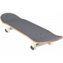 Skateboard GLOBE Street G1 Alight 7.75"