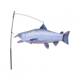 Swimming Fish Salmon