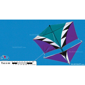 Cerf-volant monofil Vertical Visuals' Roller