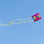 Cerf-Volant Monofil Papillon Beach kite