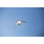SHADE - sans lignes - Cerf Volant Pilotable pour Vent Léger - HQ Kites