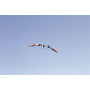 FELLOW Cerf Volant Pilotable (Nu) - HQ
