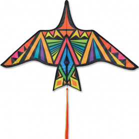 Kite Thunderbird rainbow geometric