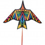 Kite Thunderbird rainbow geometric