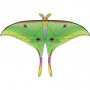 Cerf-volant Monofil Luna Moth Kite par Carsten Domann