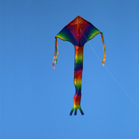 Delta Easy Rainbow - Cerf-volant monofil enfant