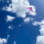 Tubular tail 6 meters (20 feet) - Prism