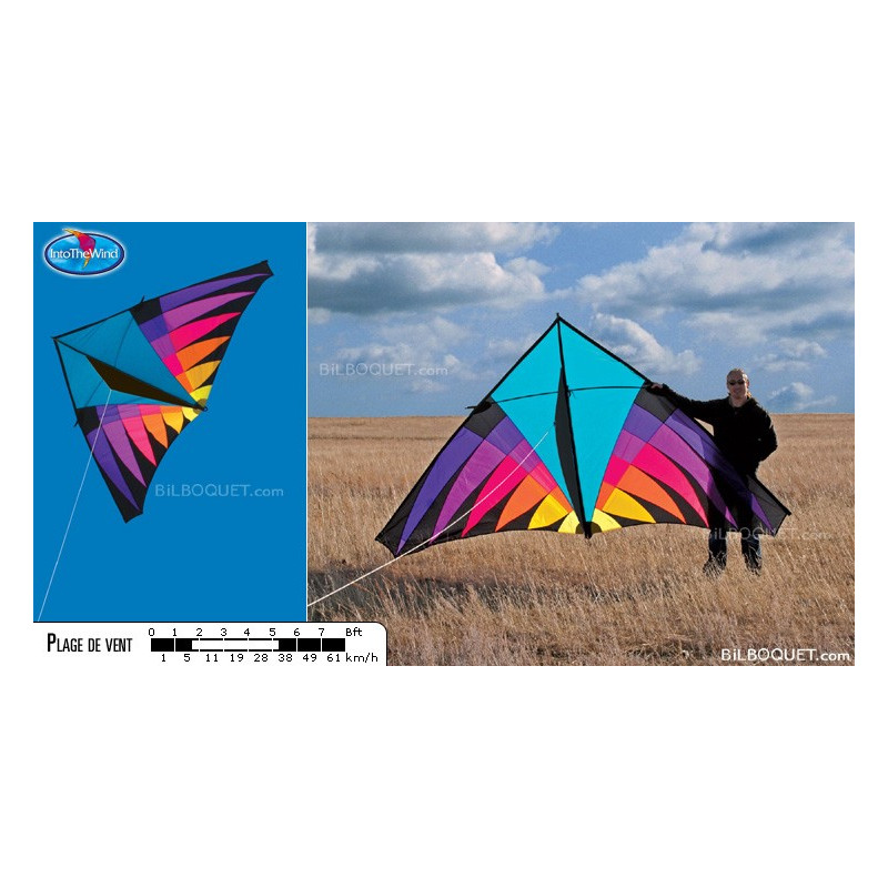 Cerf-Volant Delta Multicolore 'Flying Rainbow' - 160 Cm Large - Facile à Monter Pour Enfants Et Adultes