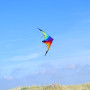 Fancy Stunt kite