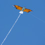 Grand Aigle Cerf-volant monofil pour vents légers