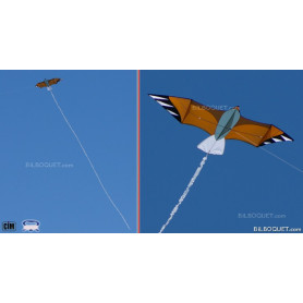 Grand Aigle Cerf-volant monofil pour vents légers