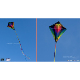 Eddy XL Gradient Grand cerf-volant monofil