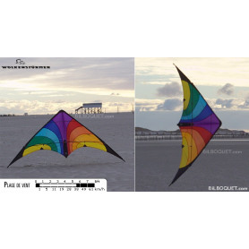 Fancy cerf-volant pilotable