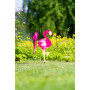 Eolienne Flamand rose - Spin critter HQ