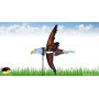 Eolienne de jardin Oiseau Aigle