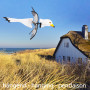 2 in 1 Windspinner - Seagull Bird