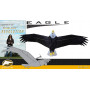 Aigle 9.5FT Vector Kite Gen II Series