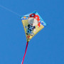 Eddy-S Pirate 50x56cm - Single line kite for children