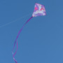 Fantasy Eddy Einhorn - Single-line Kite for Kids