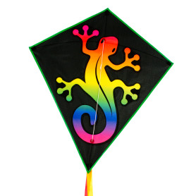 Eddy Gradient Gecko - Single line kite for kids