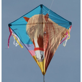 Eddy Pony - Single line kite for kids