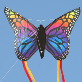 Papillon Rainbow - Cerf-volant monofil enfant