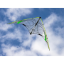 Quantum 2.0 Mylar Green-Yellow - Anniversary edition