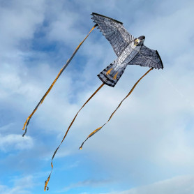 Faucon - cerf-volant monofil enfant