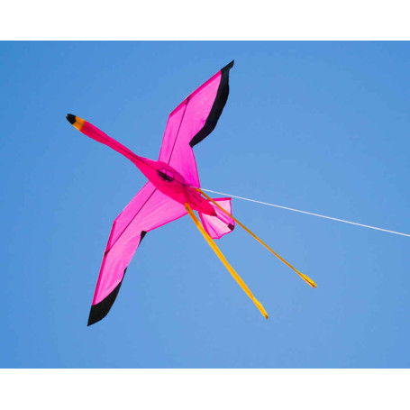 Cerf-volant monofil Flamant 3D - Joel Scholz