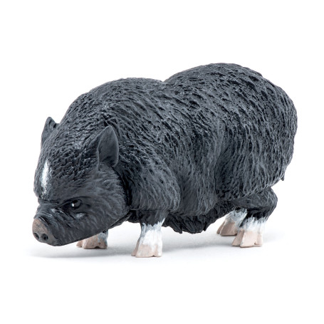 Cochon vietnamien