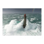 1000 piece jigsaw puzzle - Le Phare de la Jument, Brittany