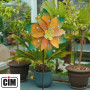 Metal wind generator Exotic Flower Jamaique - Double wheels Ø48cm/160cm